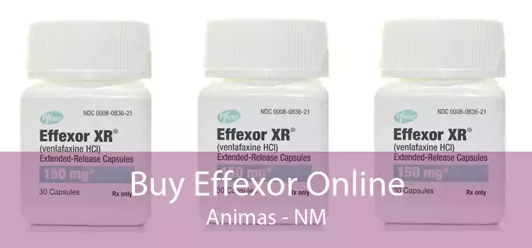 Buy Effexor Online Animas - NM
