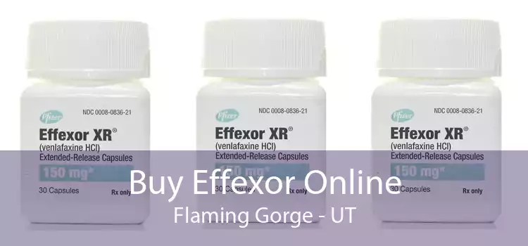 Buy Effexor Online Flaming Gorge - UT