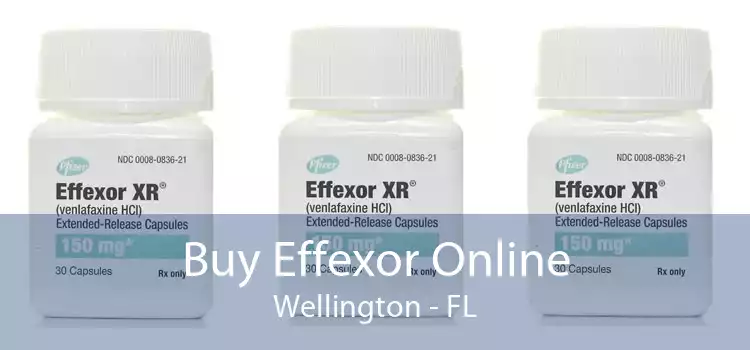 Buy Effexor Online Wellington - FL